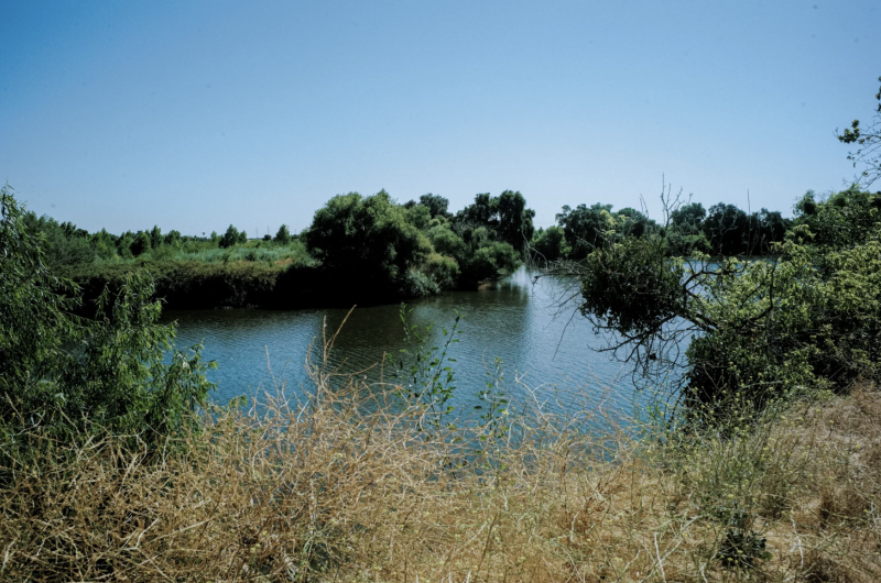 A view of a river with trees and other vegetation around.